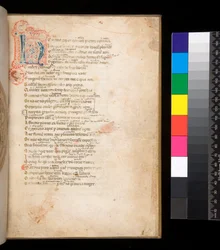 Ms 315. Horace, Ars Poetica ja Epistulae, f.1r. Koristeltu alkukirjain [N] sinisellä ja punaisella vaippatäytteellä ja ympäröivä kynätyö punaisella
