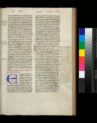 Ms 342. Caesar, Opera, f.38r. Alkukirjain [E] sinisenä ja kynällä kukkainen koristelu punaisella