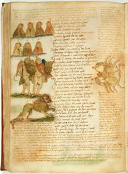 Ms Ital 483 P.4.7 f.156v Kaksoset, leijona ja syöpä, Fazio degli Ubertin (vellum) Dittamondosta