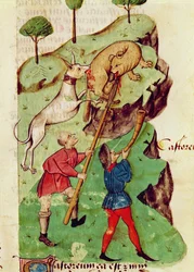 Ms Lat 993 fol.35r The Hunt, Dioscorides (vellum) "Tractatus de Herbis"