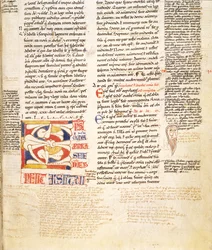 Ms. McClean 135, f.96r: yksityiskohta kasvimuodon historiallisesta alkukirjaimesta C Gratians Decretum, 1100-luvun lopulla