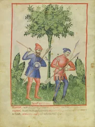 Nouv Acq Lat 1673 fol.100v The West Wind, Tacuinum Sanitatis, n. 1390-1400