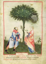 Nouv Acq Lat 1673 fol.18 Harvesting Lemons, from Tacuinum Sanitatis, n.1390-1400