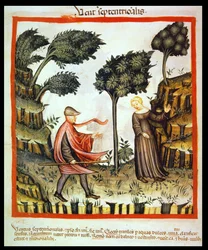 Nova 2644 fol.58v The North Wind, valmistaja Tacuinum Sanitatis