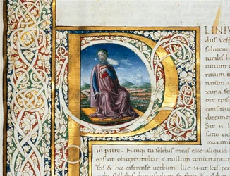 Plinius vanhemman muotokuva
