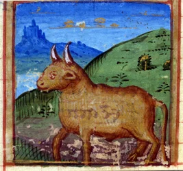 av