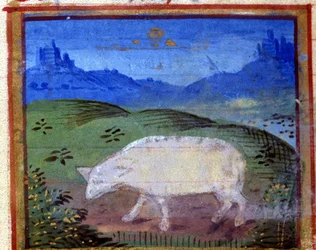 Oinaan merkki. Italialainen horoskooppi, 1400-luvun puoliväli.