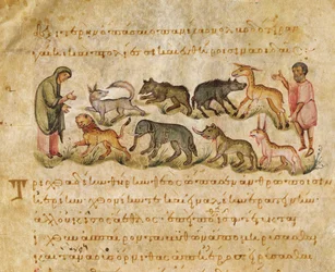 Tutkielma monista maan päällä elävistä eläinlajeista, kuvitus Oppianin Cynegeticasta (tempera vellum)