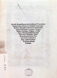 Tuntematon kuva