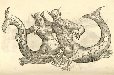 kuva Monstera Milaca Pareista Aldrovandus History of Monsters , 1642