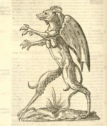 Kuvitus aiheesta Monstrum alatum, & cornutum instar Cacodaemonis Aldrovandin Hirviöiden historiasta, 1642