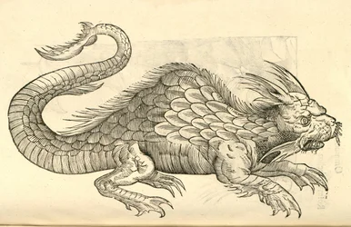 kuva Orobonis Piscis -hahmoista Aldrovandis History of Monsters , 1642