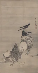 Kukot, kanat ja poikaset, parin oikea puoli, 1795