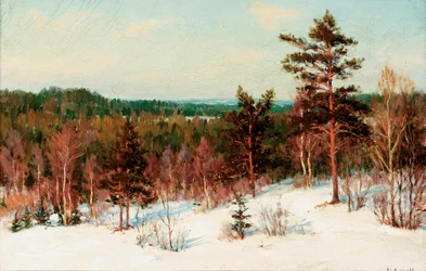 Talvi - Näkymä metsään