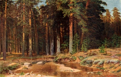 Pine Grove, 1898, 1939.