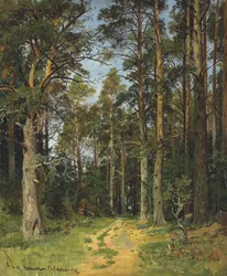 Siverskaja, 1896