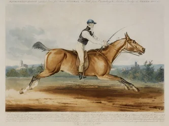 H. Meyerin kaivertaman William Hutchinsonin muotokuva Stareing Tomista