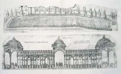Näkymät Montargisista, Les Plus Belles Batiments de Francesta, julkaistu 1570-luvulla