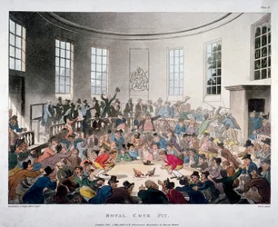 ”Kuninkaallinen kukkotappeluareena”, 1808
