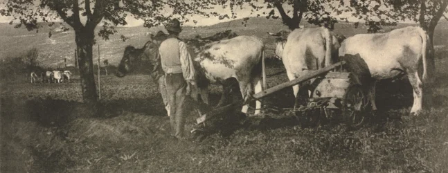 Kameratyö: Kyntöryhmä