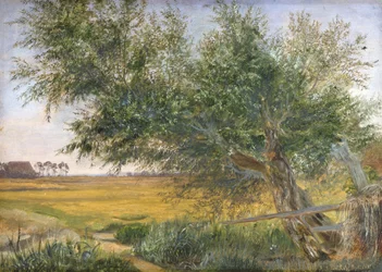 Vanha puu, 1842 (öljy paperille kiinnitetty korttiin)