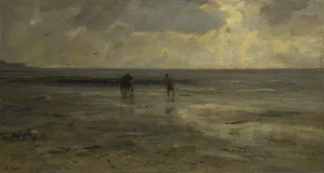Ranta illalla