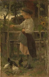 Kanojen ruokinta