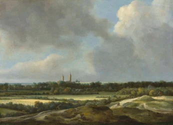 Laaja maisema, jossa on viljapeltoja, Heemsteden takana.