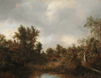 Maisema