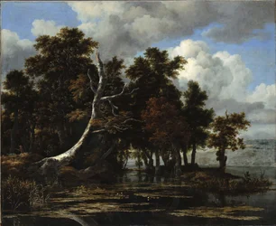 Tammet järvellä lumpeiden kanssa