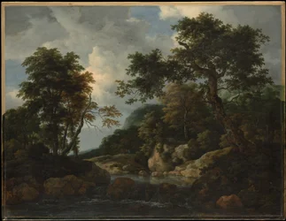 Metsäpuro