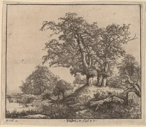 Kolme tammea