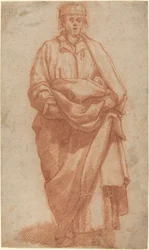 Seisova mies