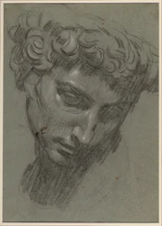 Giuliano de’ Medicin muotokuva, Michelangelon mukaan (etupuoli)