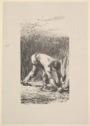 Viikatemies, 1853.