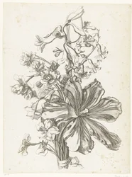 Kimppu, jossa on tulppaani, hyasinti, brodiaea ja narsissit Diverse Fleurs mises en Boucquets (sarjan nimi)