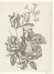 Kukkakimppu pioneja, tulppaania ja brodiaeaa Diverse Fleurs mises en Boucquets (sarjan nimi)