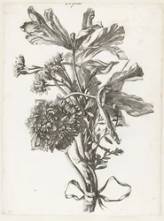 Kukkakimppu, jossa haalistuneet tulppaanit, anemone ja immortelles Diverse Fleurs mises en Boucquets (sarjan nimi)
