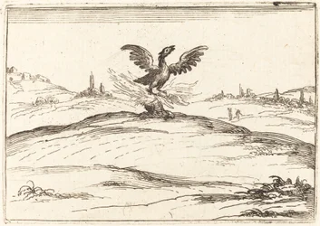 Palava Phoenix, 1628.