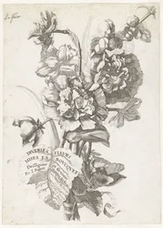 Nimisivu, jossa on kimppu pioneja, kirjailija Diverses Fleurs mises en Bouquets, n. 1670