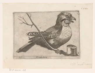 Jay (Garrulus glandarius) Giandara (otsikko esineessä) Linnut (sarjan nimi)