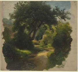 Metsäpolku