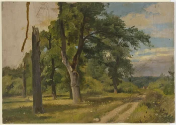 Metsäaukio