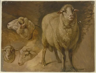 Lampaita