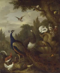 Riikinkukko, herne, papukaijat, kanarialintu ja muut linnut puistossa, n. 1708-10