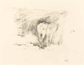Tutkimus hevosesta, 1895.