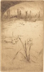 Swan and Iris, julkaistu 1883.