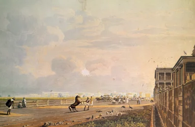 Näkymä Esplanade Rowlle Chouringhee Roadilta, Kalkutta, kaiverrus Robert Havell, pubi. 1824