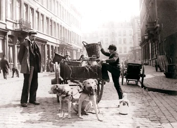 Poika koirakärryillä, Antwerpen, 1898.