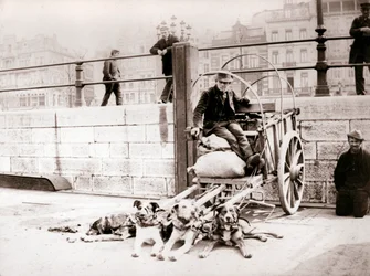 Mies koirakärryillä, Antwerpen, 1898.